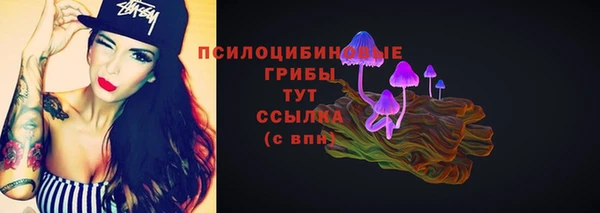 spice Михайловка
