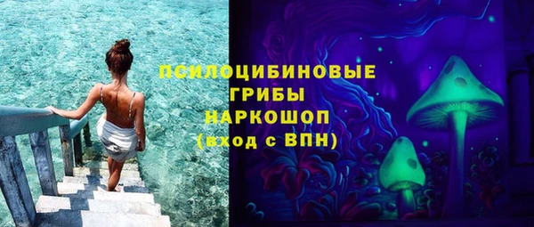 ешки Михайлов