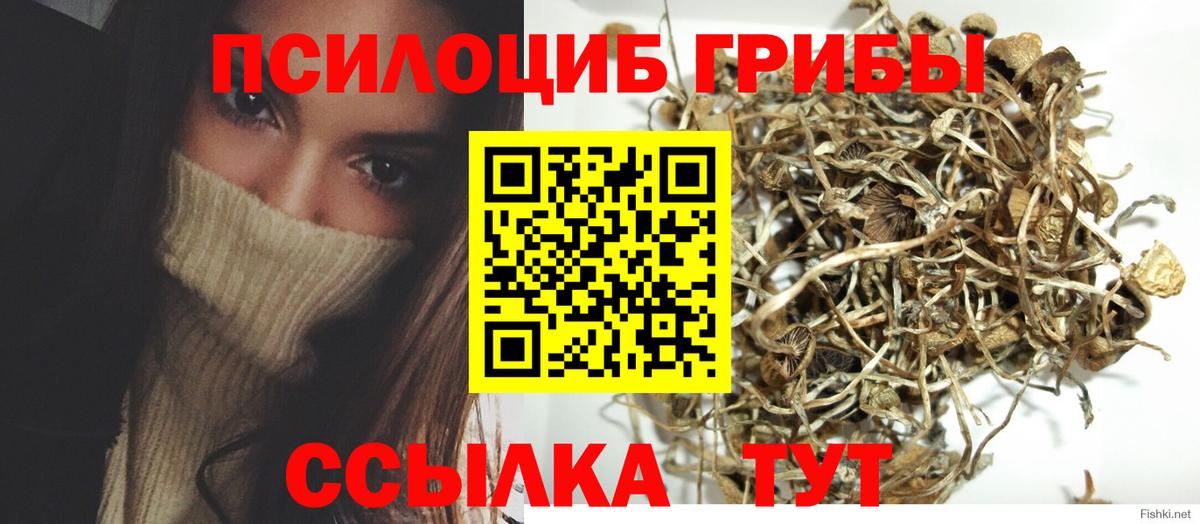 Южноуральск  Псилоцибиновые грибы мухоморы  Вход с VPN 